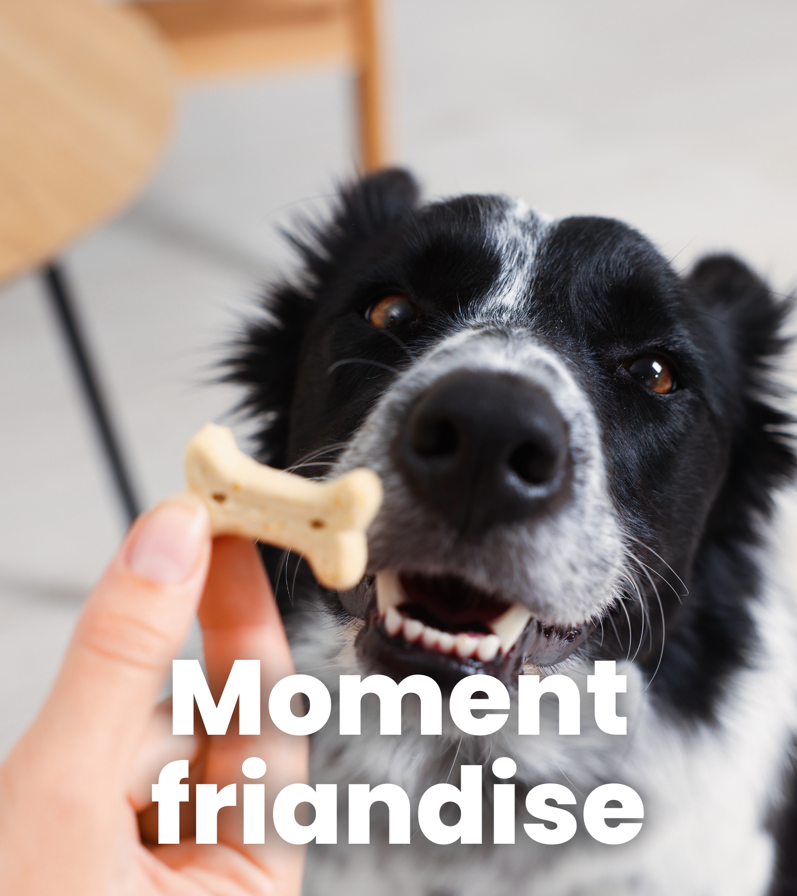 ope fev créa j'en veux